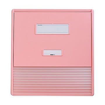 リヒトラブ カラーカードインデックスA3A4タテ2面11ポケット ピンク HC113C-4 1冊