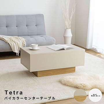Tetra（テトラ） バイカラーセンターテーブル m13266