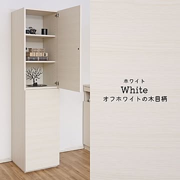 収納棚 扉付き キャビネット 国産家具 壁面収納 幅45cm DIY 木製 組立 WS-1845T