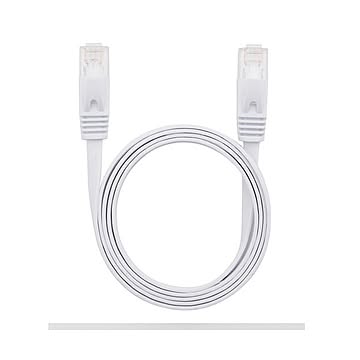（まとめ） LANケーブル フラット CAT6 2M 白 AS-CAPC012 【×10セット】