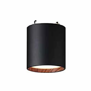 ARTWORKSTUDIO Grid PLUS-ceiling down light 1灯 ブラック×ライトウッド