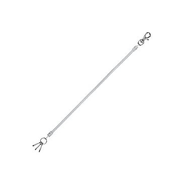 (まとめ) レイメイ藤井 コイルキーチェーン26~100cm クリア GLK301T 1個  【×50セット】