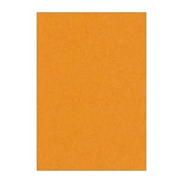 （まとめ） 文運堂 ニューカラーR 八ツ切 横271×縦392mm 8NCR-210 おうどいろ 100枚入 【×2セット】