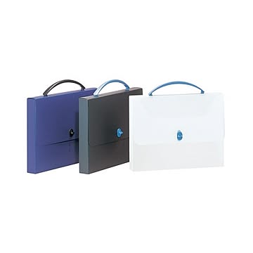 (まとめ) ライオン事務器 デザインケース A4ブラック DS-253 1個 【×10セット】