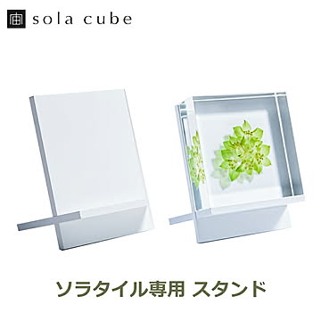 ソラタイル専用 スタンド / ウサギノネドコ 宙タイル 立体 植物 標本