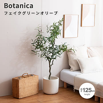 Botanica（ボタニカ） 光触媒 フェイクグリーン オリーブ m13499