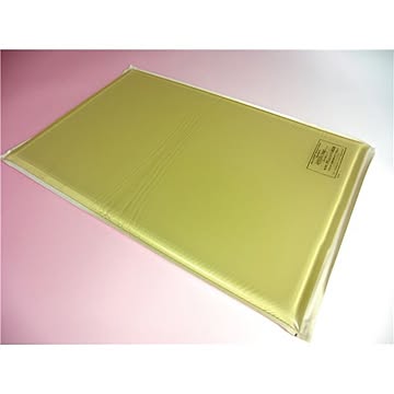アクションジャパン 入浴備品 特浴用アクションパッド #40692