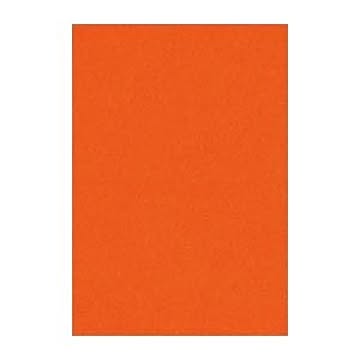 （まとめ） 文運堂 ニューカラーR 八ツ切 横271×縦392mm 8NCR-235 しゅいろ 100枚入 【×2セット】