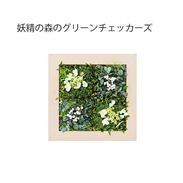 妖精の森 green senses