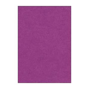 （まとめ） 文運堂 ニューカラーR 八ツ切 横271×縦392mm 8NCR-241 むらさき 100枚入 【×2セット】