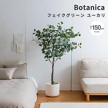 Botanica（ボタニカ） 光触媒 フェイクグリーン ユーカリ m13494
