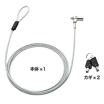 サンワサプライ 超小型シリンダセキュリティ(eセキュリティ・鍵No.1) SLE-25S-1 管理No. 4969887897096