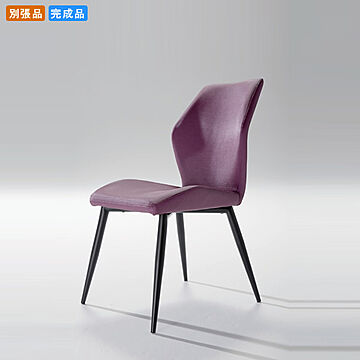 ダイニングチェアー いす イス 椅子  アランブレ2型 別張品 業務用家具シリーズ STEEL（スチール）  店舗 施設 コントラクト