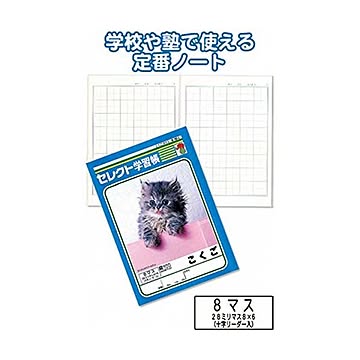 学習帳K-10-2こくご8マス 10個セット 31-375