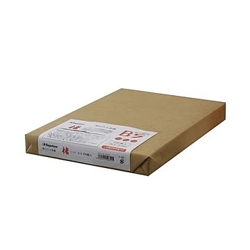 (まとめ) 長門屋商店 マルチOA和紙 楮入奉書 白 B5 ナ-851 1冊(250枚) 【×3セット】