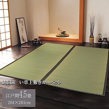 純国産 立花織 い草上敷 『桂浜』 江戸間