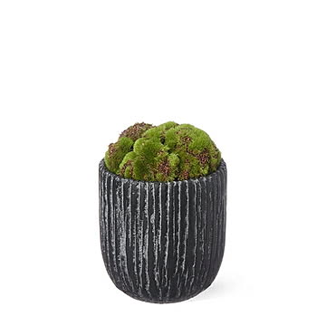 プリマ CUPBON 苔盆S 盆栽 フェイクグリーン PRGR-1341