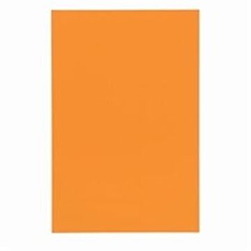 (業務用100セット) ジョインテックス マグネットシート 【ワイド/ツヤ有り】 ホワイトボード用マーカー可 橙 B210J-O
