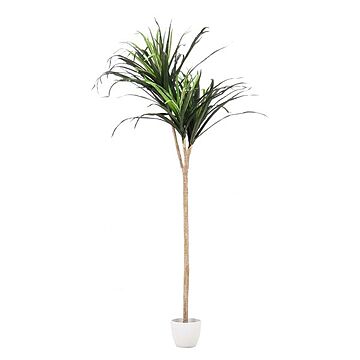 ドラセナ コンシンネ 幅80×奥行80×高さ148cm 観葉植物 造花 インテリアグリーン