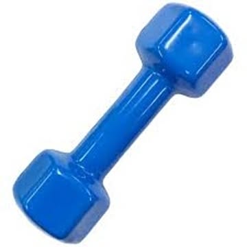 カラー 鉄アレー/ダンベル 3kg×1本 ブルー ビニールコーティング 防滑 防傷 転がりにくい仕様 〔スポーツ用品 運動用品〕