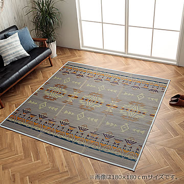 NSライク 120×180cm イケヒコ イケヒコ・コーポレーション 1061940032504