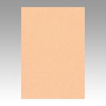 （まとめ） 文運堂 ニューカラーR 八ツ切 横271×縦392mm 8NCR-103 はだいろ 100枚入 【×2セット】