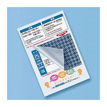 （まとめ）サンワサプライ 貼り直しができる目隠しシール（2面付） JP-HKSEC11【×5セット】