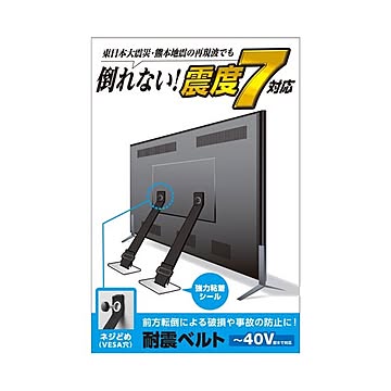 エレコム TV用耐震ベルト／〜40V用／ネジどめタイプ（VESA穴）／2本入 TS-005N