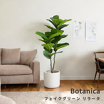 Botanica（ボタニカ） 光触媒 フェイクグリーン リラータ m13485