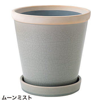 グロッシーポット φ16cm 5号鉢 (gg634172)