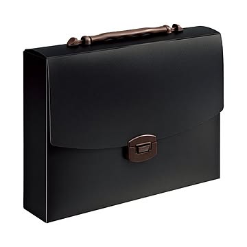 （まとめ）ライオン事務器 キャリングバッグイロキャリ ビターショコラ CA-173BC 1個【×5セット】