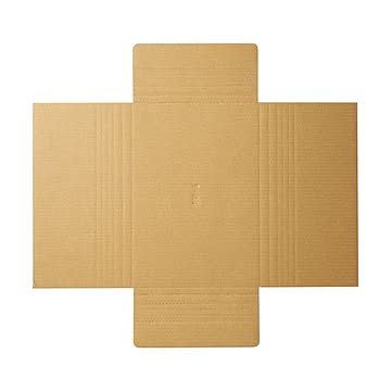 （まとめ） TANOSEE タトウ式段ボール A4用 1パック（50枚） 【×2セット】