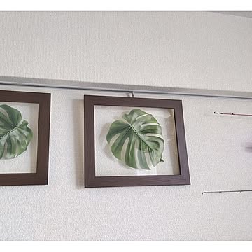 モンステラ フレーム ブラウン S