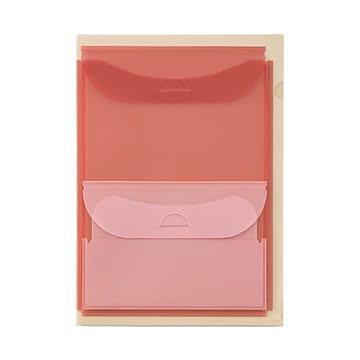 まとめライオン事務器ダブルポケットホルダーイロキャリ ミルクティー WP-123 1冊 ×20セット