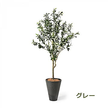 GREENPARK オリーブ GWプランター H160cm PRGR-1260 プリマ