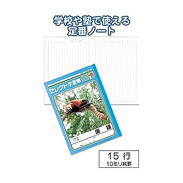 学習帳K-15-2国語 縦罫15行 10個セット 31-364