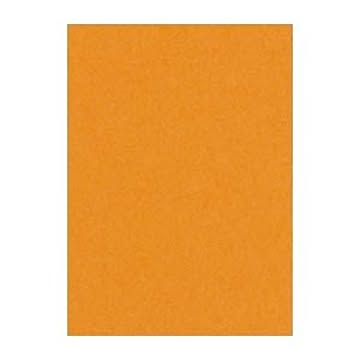 （まとめ） 文運堂 ニューカラーR 四ツ切 横392×縦542mm 4NCR-210 おうどいろ 100枚入 【×2セット】