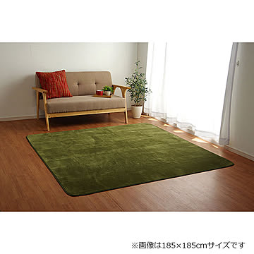 イケヒコ・コーポレーション ピオニー IT BR 200×300cm グリーン