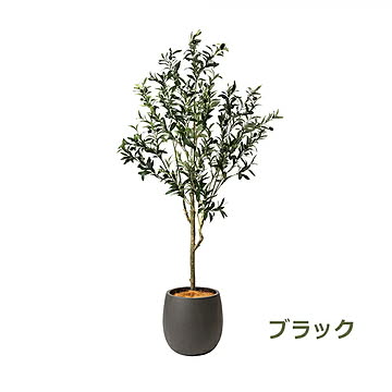 GREENPARK オリーブ エッグポット H155cm PRGR-1261 プリマ
