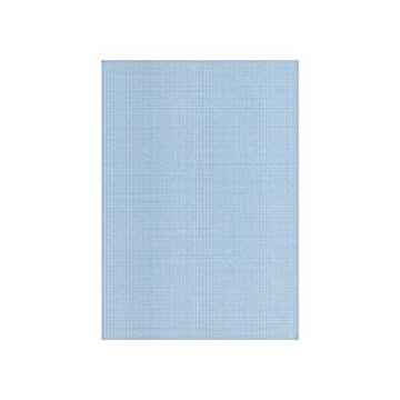 PCA 給与明細書単票A（罫線なし） 500枚