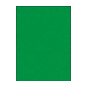 （まとめ） 文運堂 ニューカラーR 四ツ切 横392×縦542mm 4NCR-321 みどり 100枚入 【×2セット】