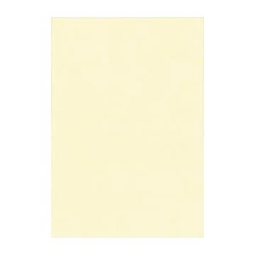 （まとめ） 文運堂 ニューカラーR 八ツ切 横271×縦392mm 8NCR-112 うすクリーム 100枚入 【×2セット】