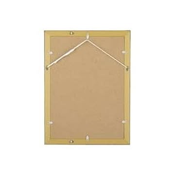 （まとめ）大仙 金ラック-R B3箱入 J335C4400【×2セット】