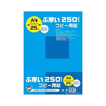 （まとめ） キョクトウ・アソシエイツ ぶ厚いコピー用紙 A4 250gsm 【×10セット】