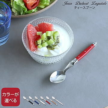 ジャンデュボ ライヨール ティースプーン Jean Dubost Laguiole [ネコポス対応可(6点まで)]