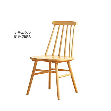 ダイニングチェア 同色2脚入 組立式 IW-290 幅45x奥行48.6x高さ81.7cm 岩附