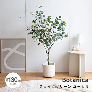 Botanica（ボタニカ） 光触媒 フェイクグリーン ユーカリ m13506