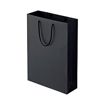 (まとめ) TANOSEE マットコート手提げ袋 L ヨコ320×タテ450×マチ幅110mm ブラック 1パック（10枚） 【×5セット】