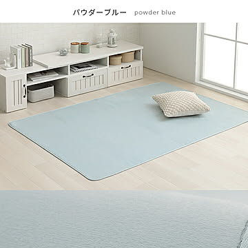 イケヒコ・コーポレーション ピオニー2 ラグ 140×200cm楕円 パウダーブルー