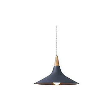 Wave-pendant ウェーブペンダント (LED球付属) AW-0560E ペンダントライト ペンダントランプ ペンダント照明 天井照明